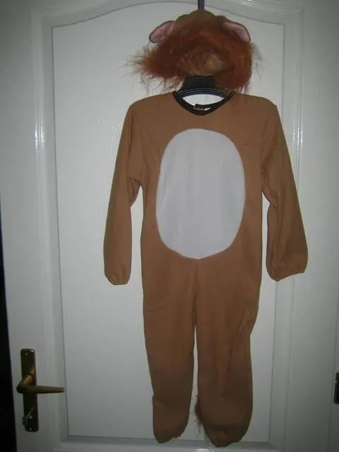 Fancy-dress costume