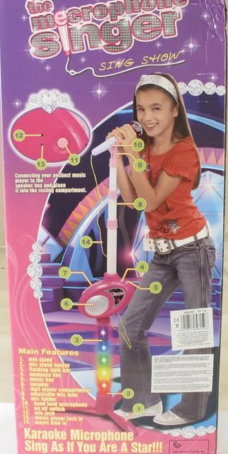 Karaoke microphone