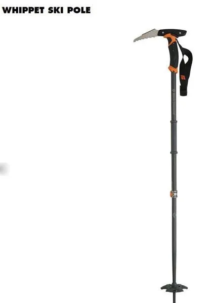 Ski pole