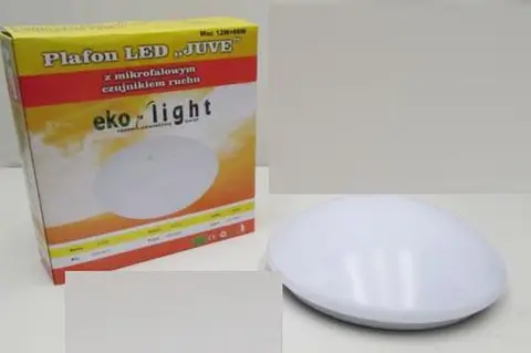 Light