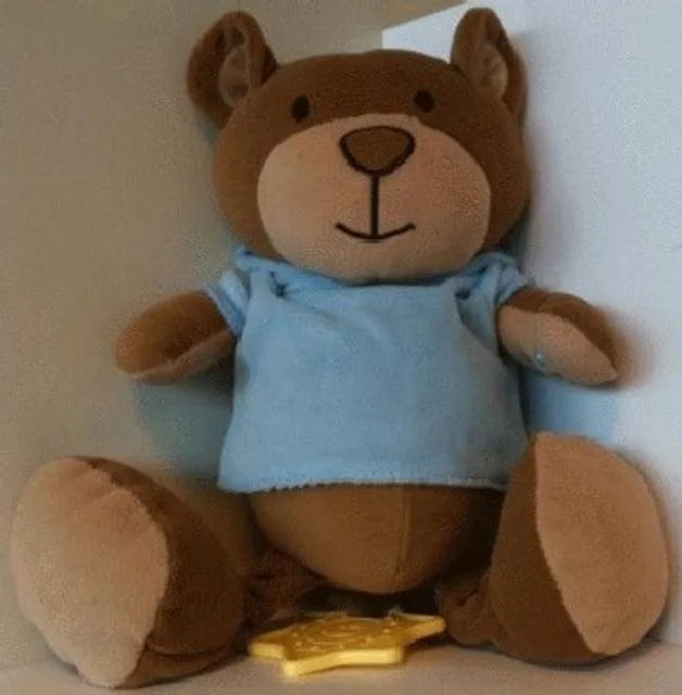 Musical teddy bear