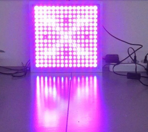 LED plant light