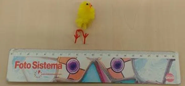 Toy chicks