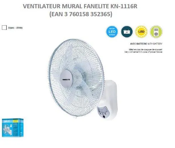 Wall fan