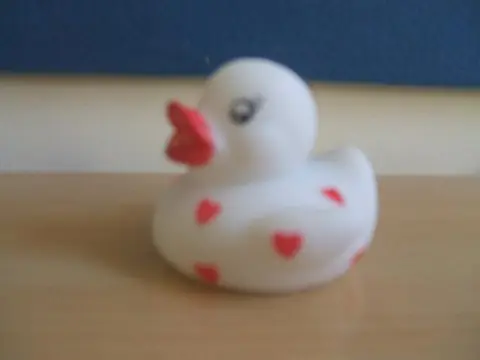 Мигающая игрушечная утка «Love Duck»