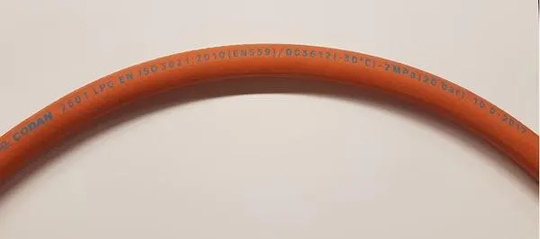 Gas hose