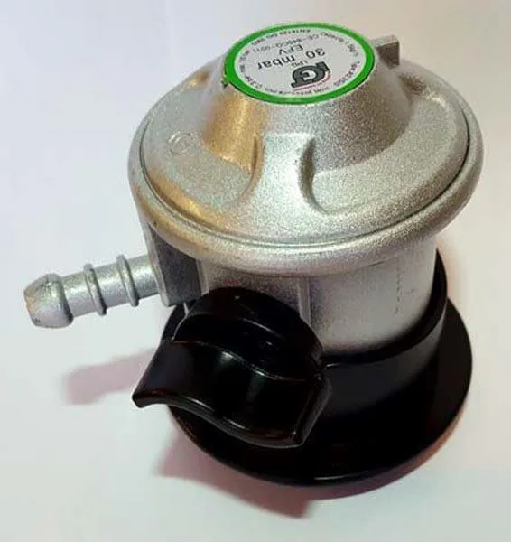 Portable gas heater with gas regulator