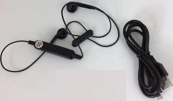 In-ear headphones