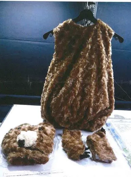 Fancy-dress costume