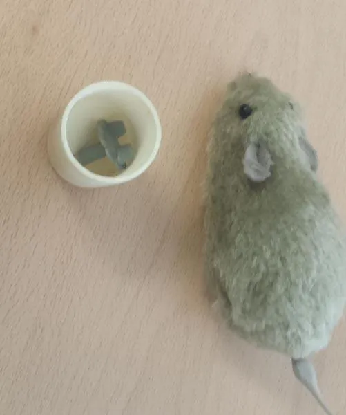 Wind-up toy mouse