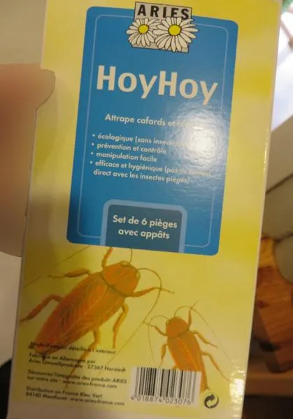 Insect trap