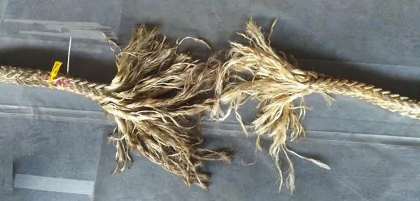 Mooring rope