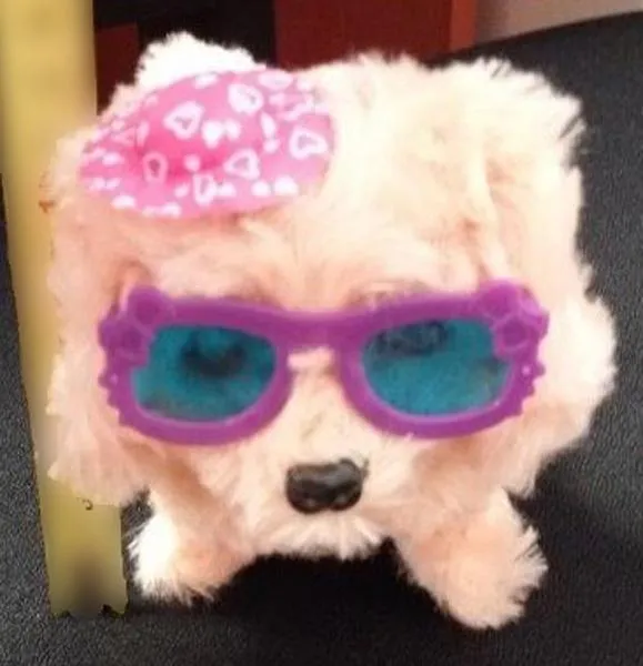 Plush toy
