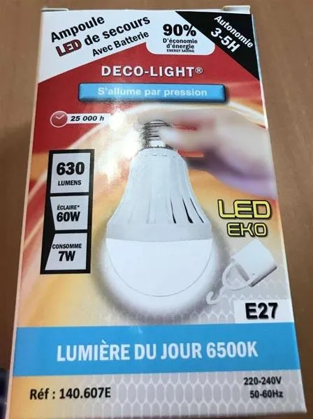 LED bulb with battery