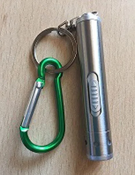 Laser pointer
