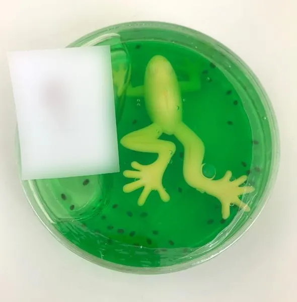 Toy slime