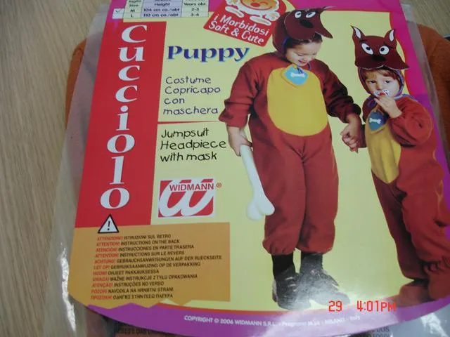 Fancy-dress costume