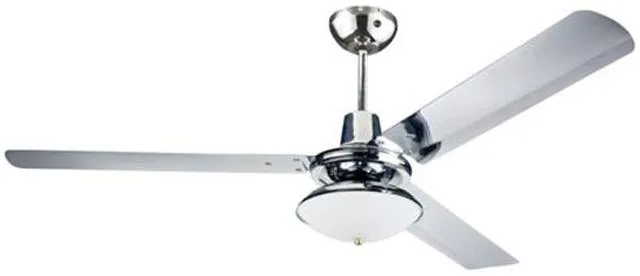 Ceiling fan