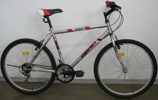 Bicycle "Spider"