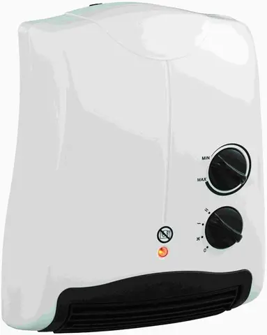 Electric fan heater
