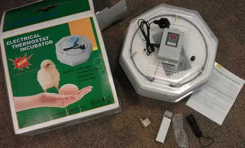 Egg incubator
